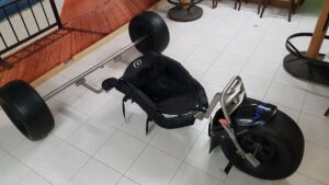 Buggy 1